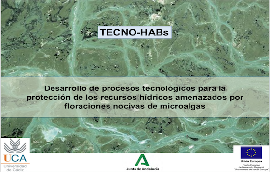 IMG Arranque del proyecto