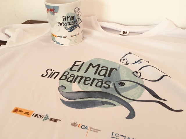 IMG EL MAR SIN BARRERAS – Actividad divulgación organizada por UCC+i en colaboración con ICMAN-CSIC